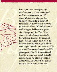 etichetta-vino-borgostignani
